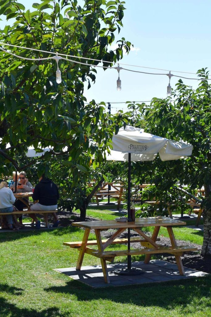 Picnic table and umbrella surrounded by cherry trees at Barrelhead, Niagara on the lake