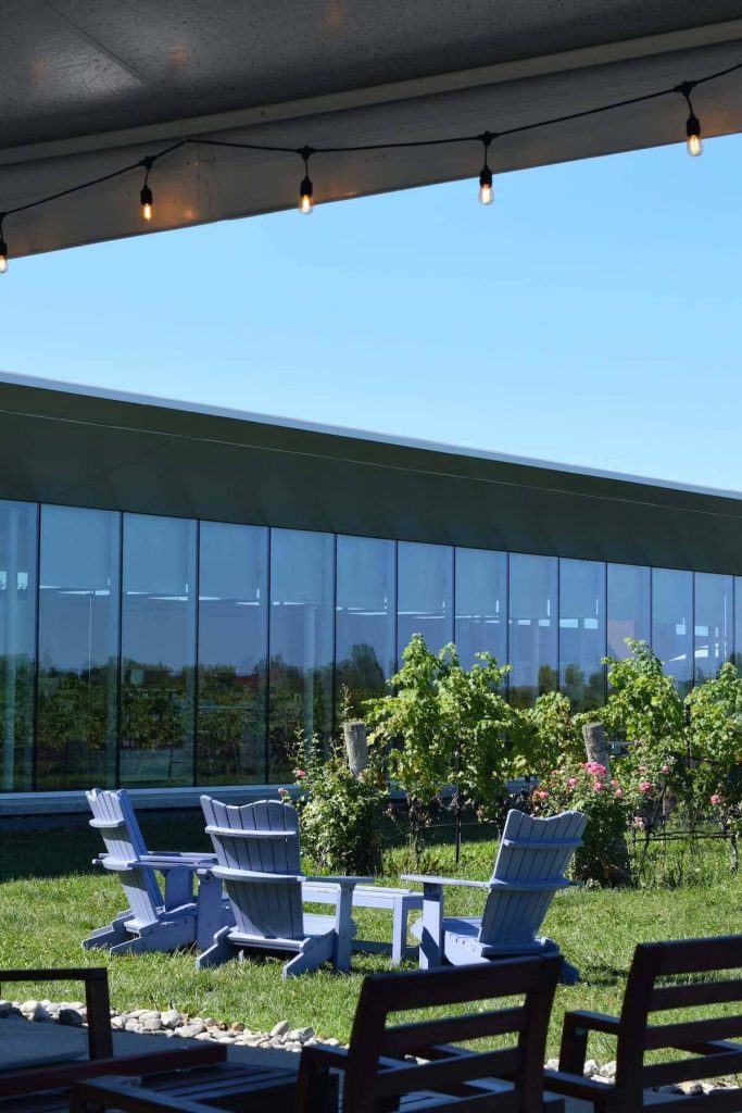 Adirondack chairs beside grape vines at Southbrook's patio