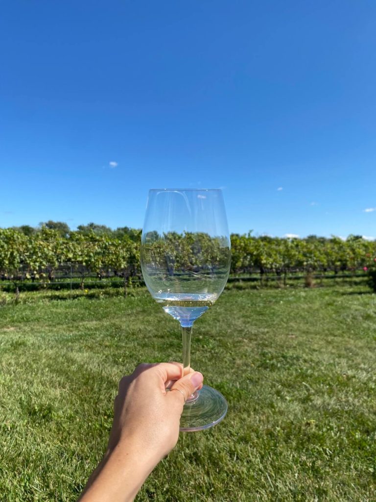 Person holding up wine glass with grapevines in the background in Niagara-on-the-Lake
